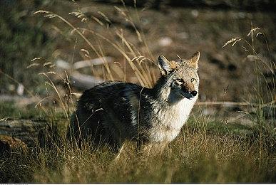 《忍者神龟合集》宣布8月30日发售 登陆全平台